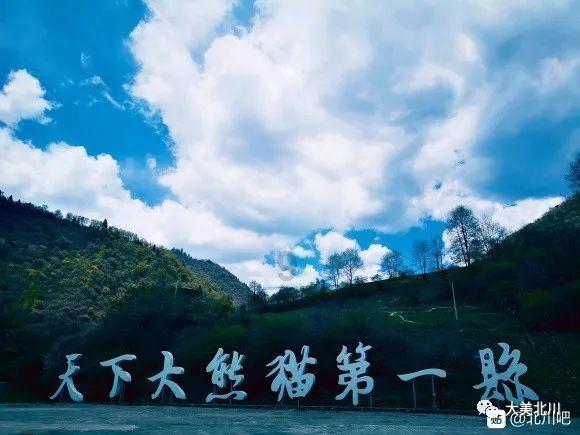 我修的可能是假仙