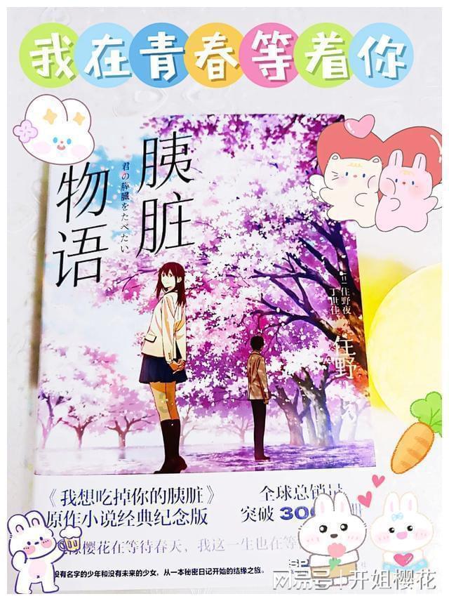 新熊出没找不同