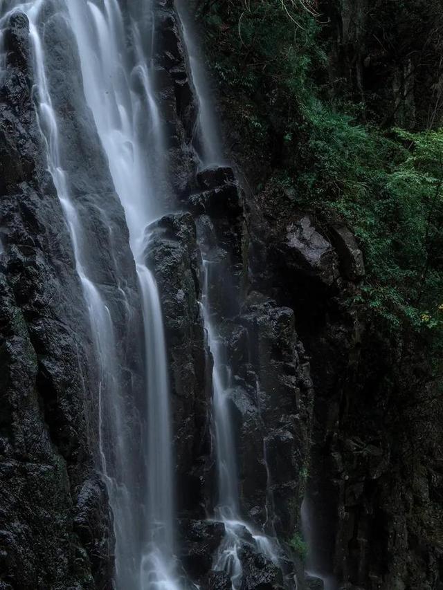 古墓丽影：崛起