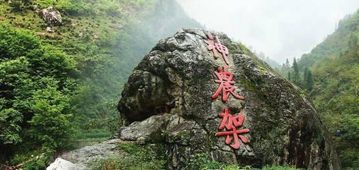 逗小猴开心系列176